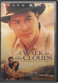 A Walk in the Clouds