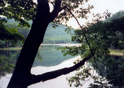 Lake.jpg - small