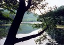 Lake.jpg - thumbnail