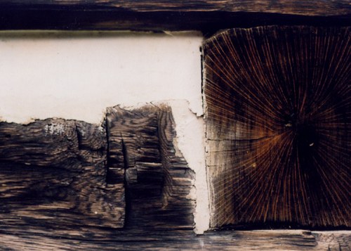 Cabin_Closeup.jpg - small