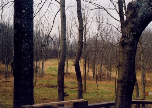 Out_Back.jpg - small