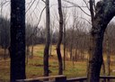Out_Back.jpg - thumbnail