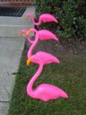 HPIM0908.jpg - thumbnail