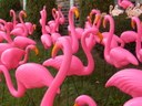 HPIM0913.jpg - thumbnail