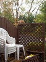HPIM0929.jpg - thumbnail