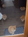 HPIM1126.jpg - thumbnail