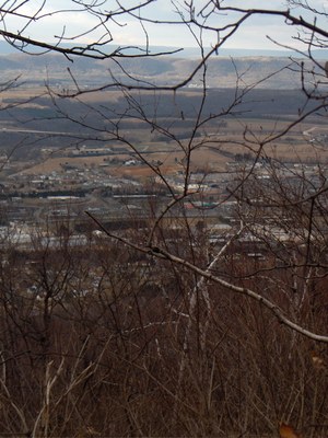 HPIM1164.jpg