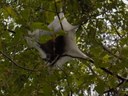 HPIM1264.jpg - thumbnail