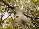 HPIM1266.jpg - thumbnail