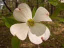 HPIM1269.jpg - thumbnail
