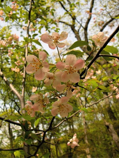 HPIM1273.jpg - small