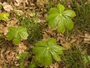 HPIM1276.jpg - thumbnail