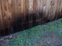 HPIM1653.jpg - thumbnail