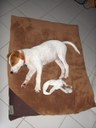 HPIM1642.jpg - thumbnail