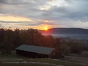 HPIM1681.jpg - thumbnail