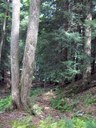 HPIM2254.jpg - thumbnail