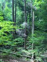 HPIM2255.jpg - thumbnail
