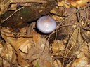HPIM2256.jpg - thumbnail