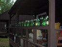 HPIM2259.jpg - thumbnail
