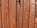 HPIM2331.jpg - thumbnail