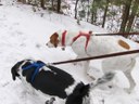 HPIM0486.jpg - thumbnail
