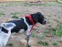 HPIM0588.jpg - thumbnail