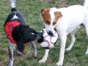HPIM0602.jpg - thumbnail