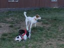HPIM0609.jpg - thumbnail