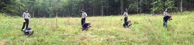 HR100343PAN.jpg