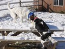 On the Picnic Table