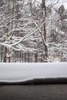 Looking out the garage