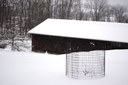 Barn and tree