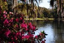 Brookgreen Gardens