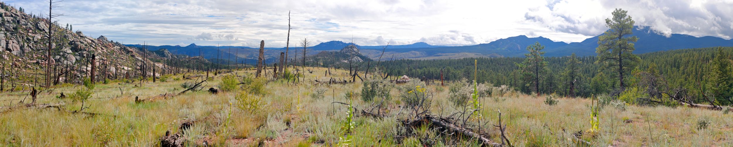 mt-baldy-panorama.jpg